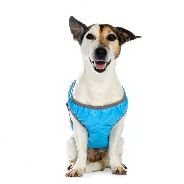 Шлейка с отражающей лентой XS голубая