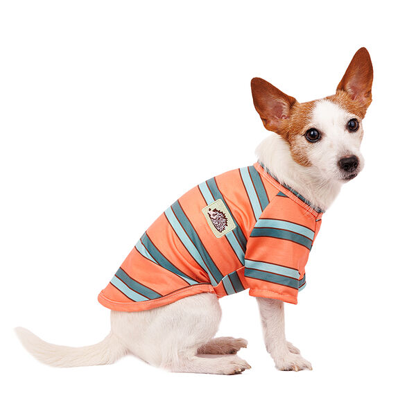 Футболка для собак M оранжевый (унисекс)