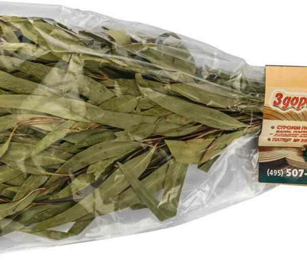 Веник эвкалиптовый