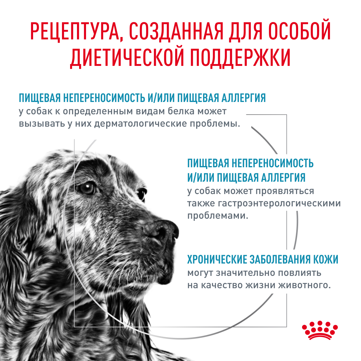 

Корм сухой Royal Canin Hypoallergenic для взрослых собак при пищевой аллергии 2 кг