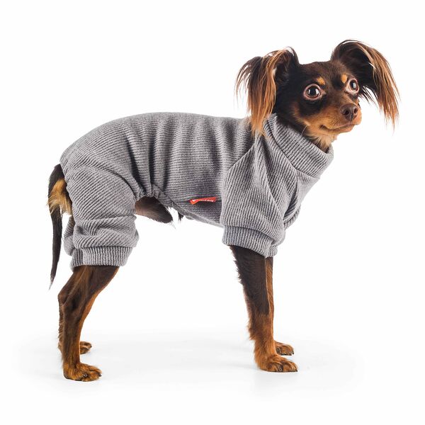 Костюм для собак XL серый (унисекс)