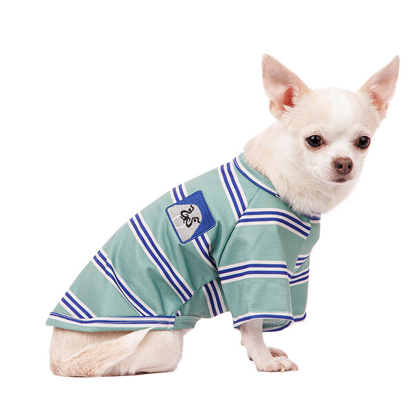 Футболка для собак S зеленый, унисекс