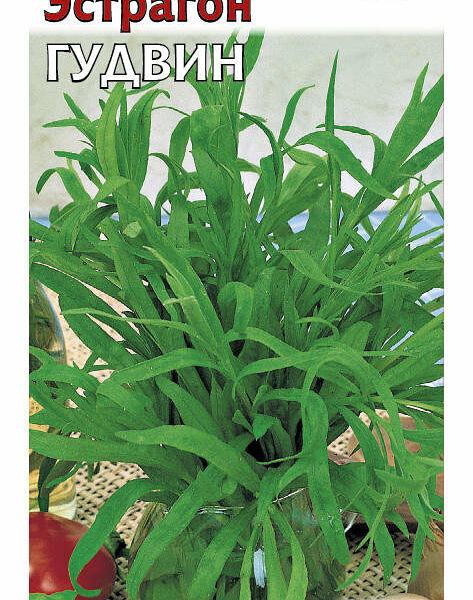 Семена Эстрагон Гудвин ТМ Гавриш