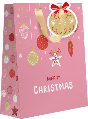 

Пакет подарочный X-mas, евролюкс, 23x19x9см, Арт. ML, в ассортименте