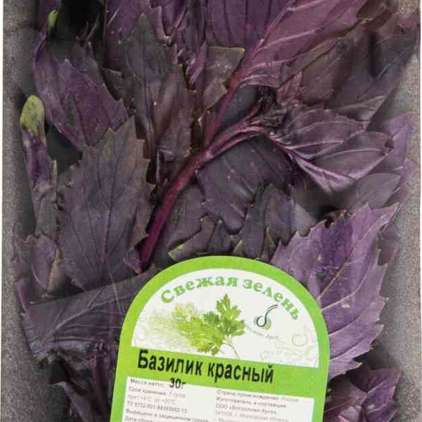 Базилик красный
