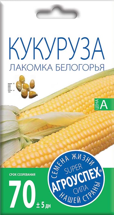

Семена Агроуспех Кукуруза Лакомка Белоорья 5 г