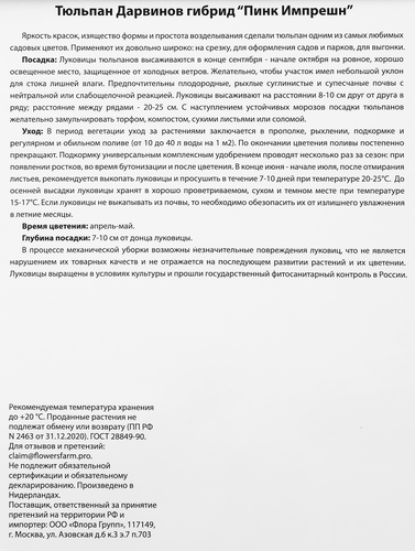 

Луковицы Тюльпан Дарвинов гибрид Пинк Импрешн, 10шт