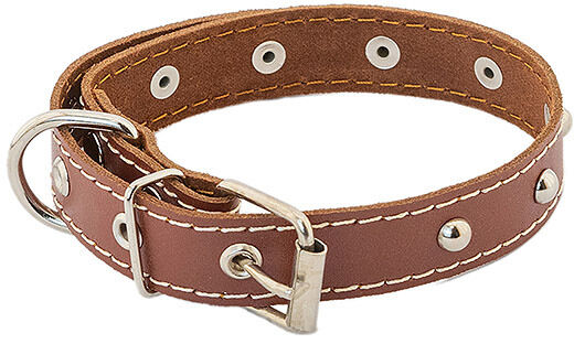 HOMEPET ошейник для собак кожаный с украшениями простроченный 35-47 см., Коричневый