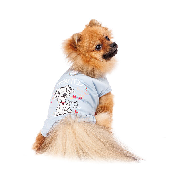 Куртка для собак XL голубой (унисекс)