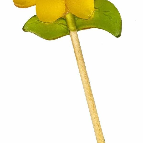 Карамель леденцовая фигурная СахароварЪ на изомальте Цветочек