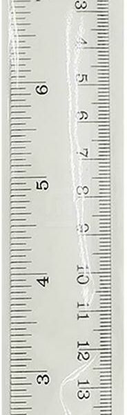 Линейка Fans пластиковая, 20 см