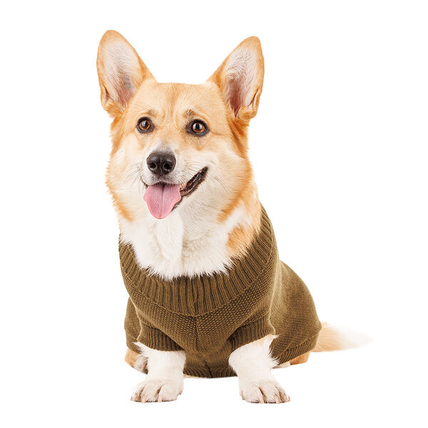 Свитер для собак 45см 2XL зеленый (унисекс)