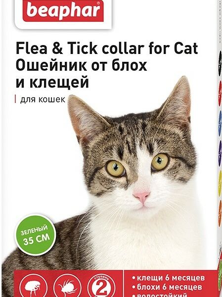 Ошейник Beaphar от блох и клещей для кошек зеленый 35 см