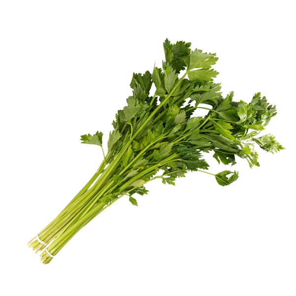 Сельдерей зелень 100 г