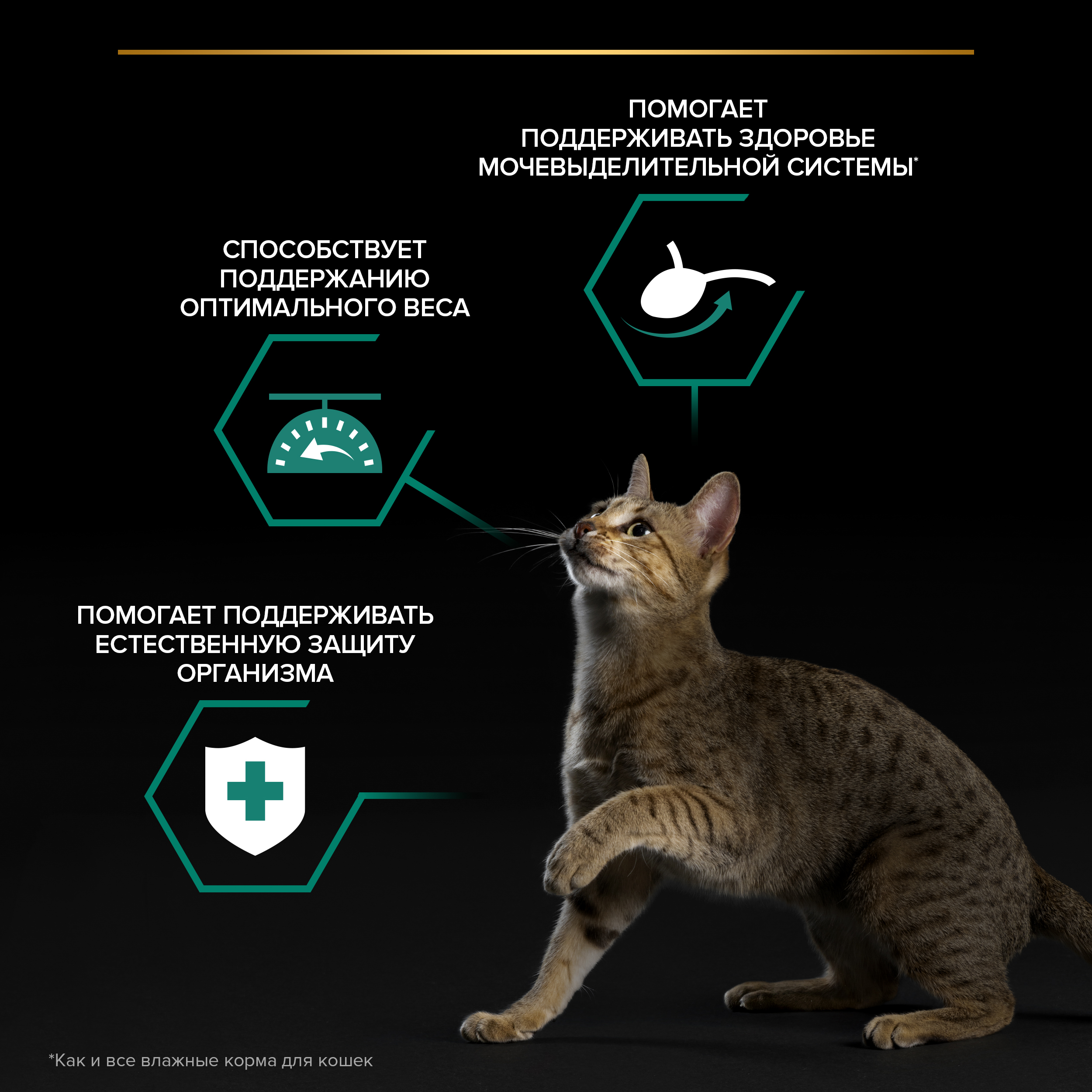 

Влажный корм Pro Plan Sterilised Maintenance для стерилизованных кошек индейка кусочки в желе 85 г