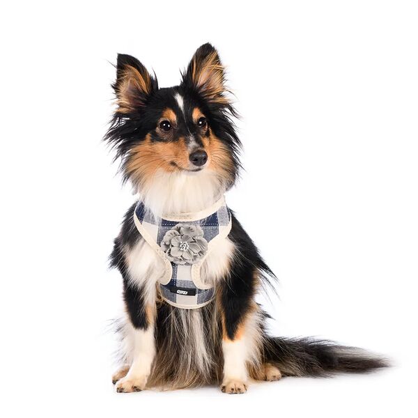 Шлейка M для собак синяя с цветочком