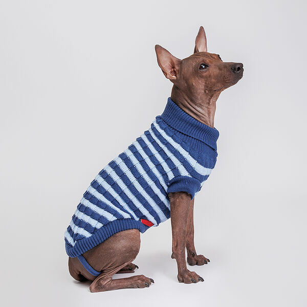 Свитер полосатый для собак, 45 см, синий