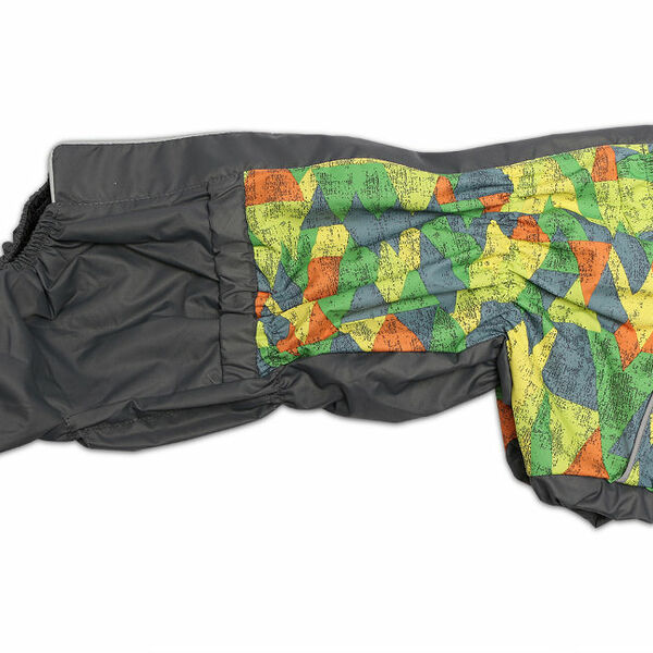 Lion Дождевик для собаки 