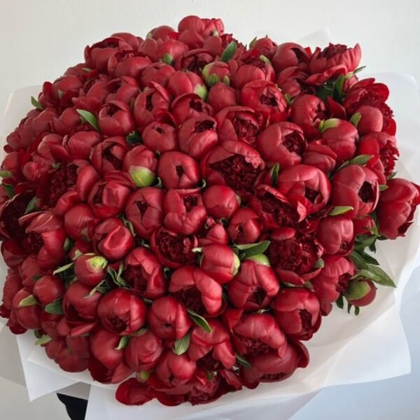 Букет из бордовых пионов