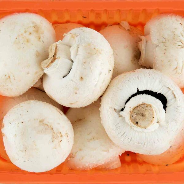 Шампиньоны свежие