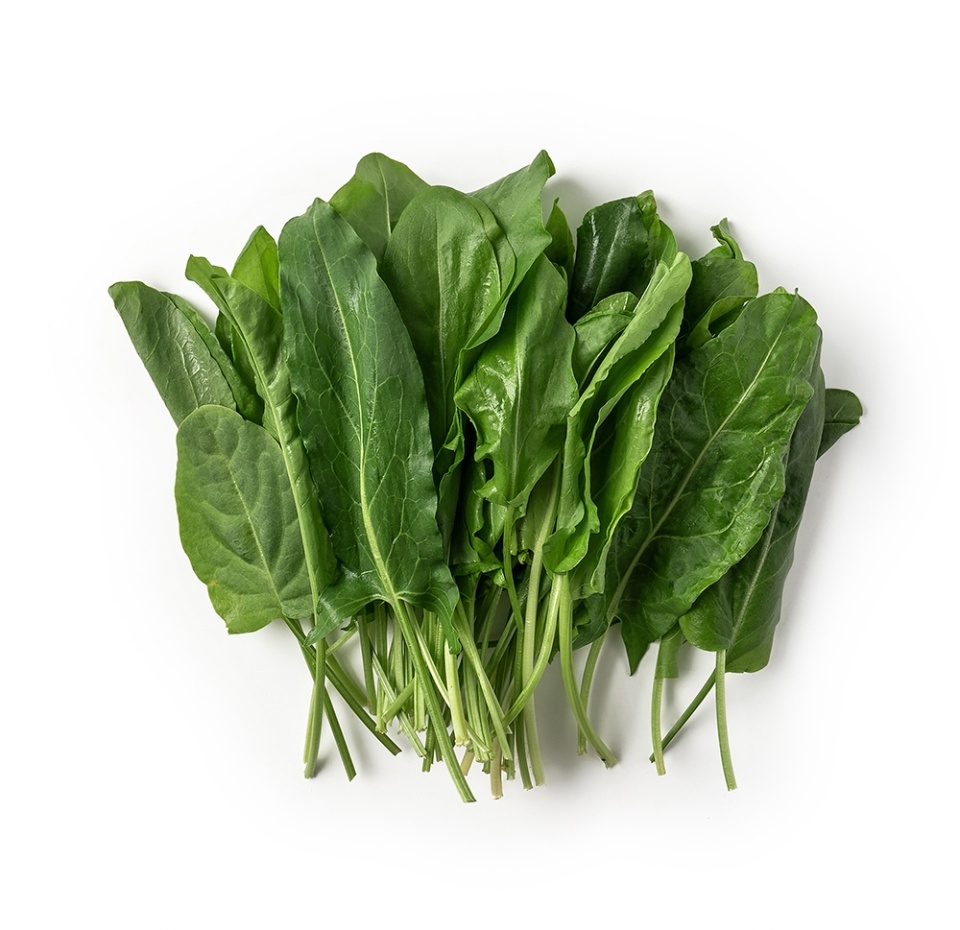 

Щавель «Просто Азбука»