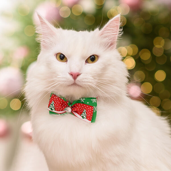 Галстук-бант новогодний елка