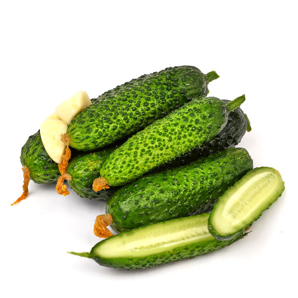 Огурцы малосольные от Маслюковой