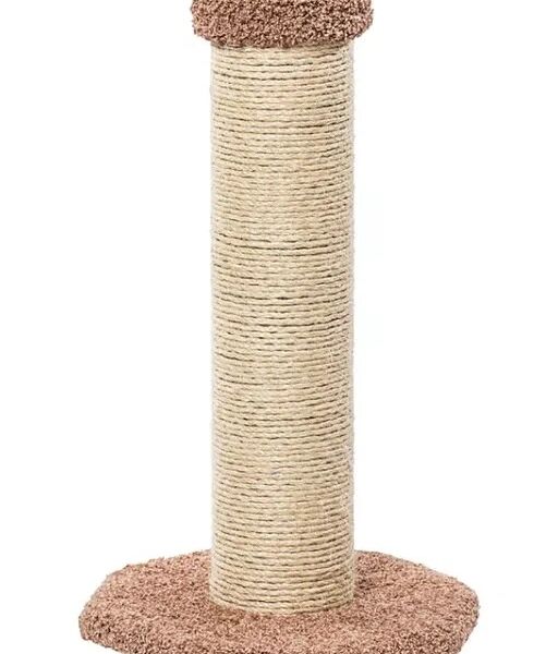 Пушок когтеточка 