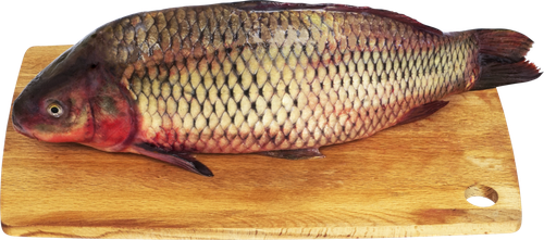 

Сазан средний неразделенный охлажденный вес