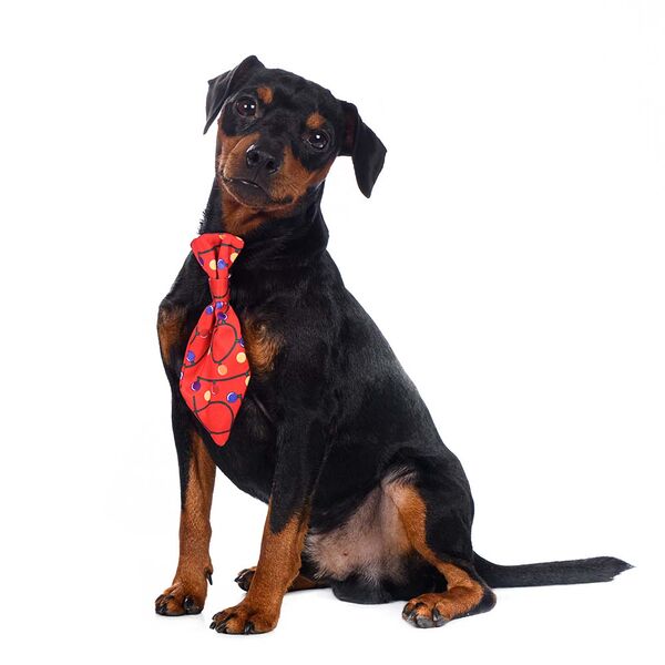 Галстук для собак красный светящийся Led