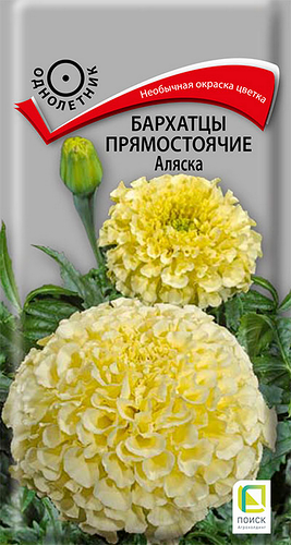 Семена Поиск Бархатцы прямостоячие Аляска