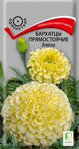 

Семена Поиск Бархатцы прямостоячие Аляска