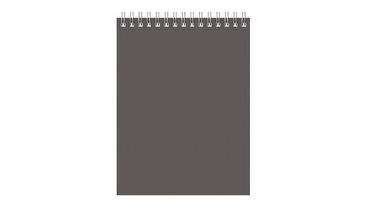 Блокнот BG Для конференций на гребне А6 серый 60 листов