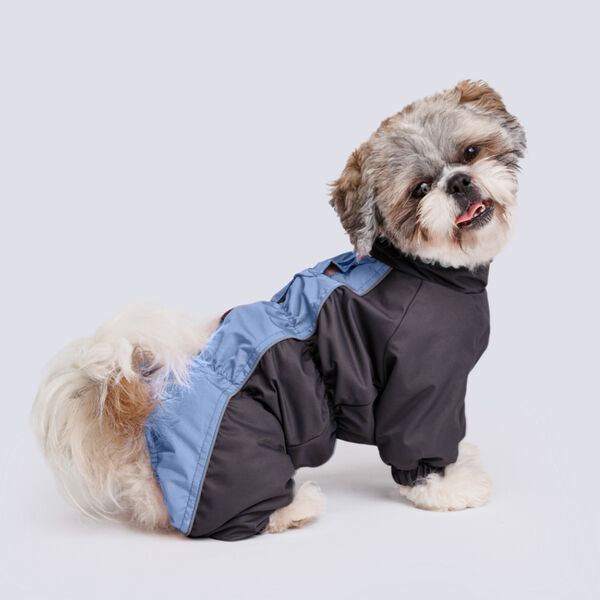 Комбинезон для собак Rungo Пекинес голубо-черный XL