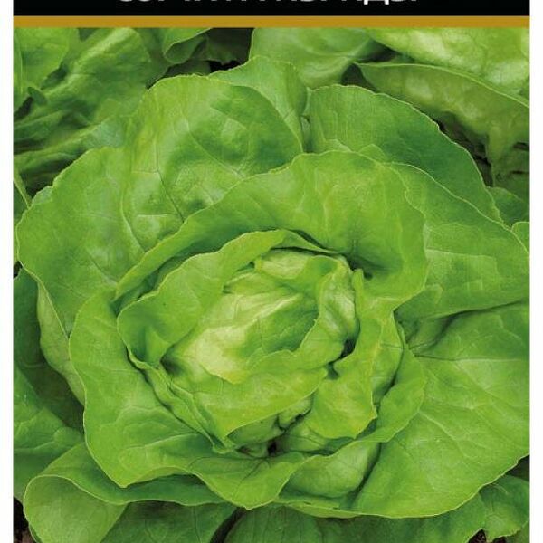 Семена Салат Надин агро ТМ Поиск