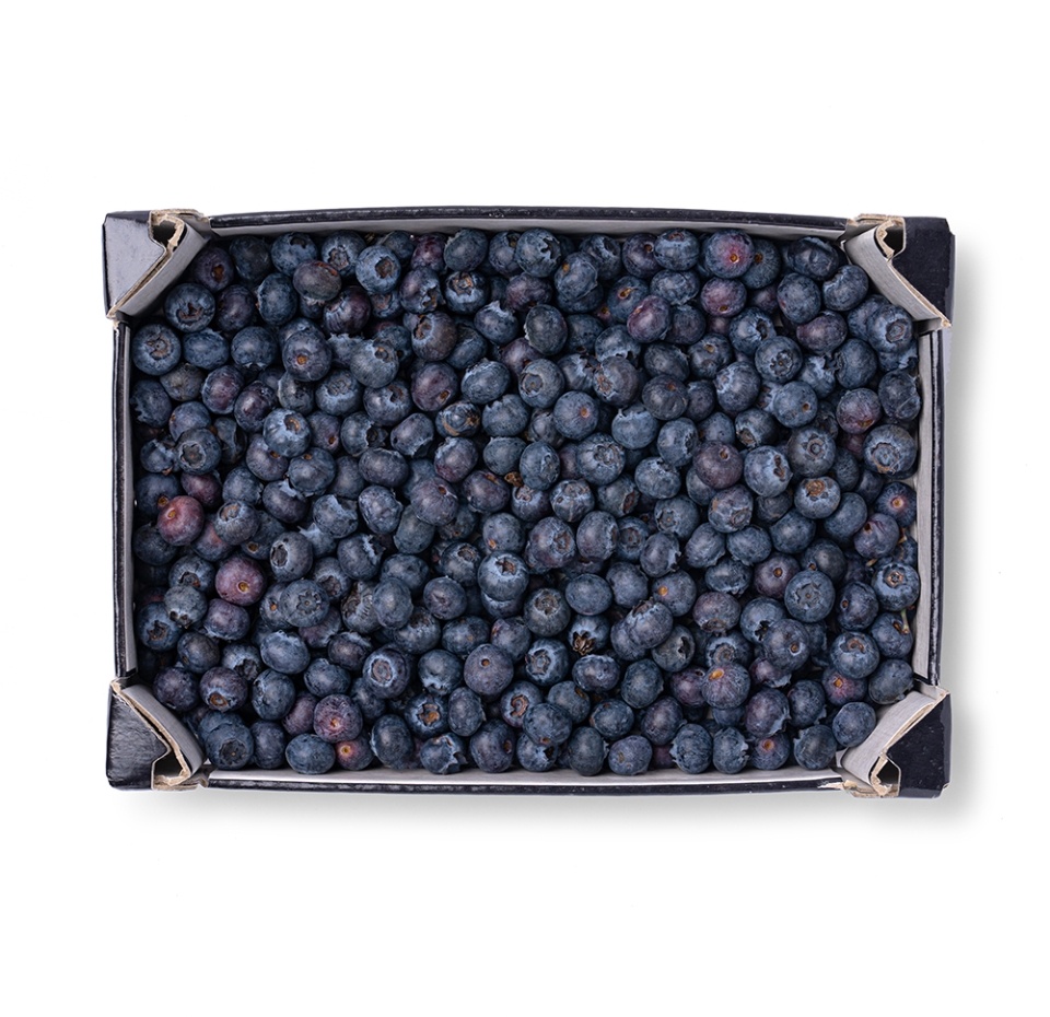 

Голубика «Марокко» 1 кг