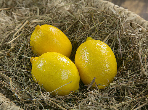 Лимон Турецкий