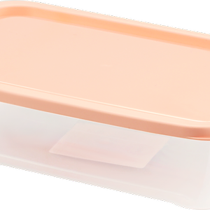 Контейнер 365 ДНЕЙ 0.7л, 18,5х11,5х5см