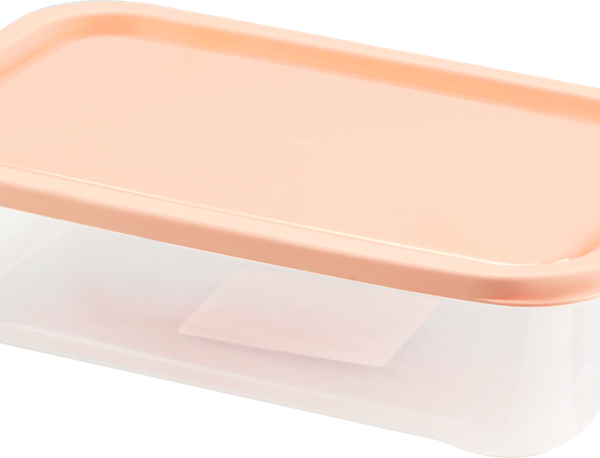 Контейнер 365 ДНЕЙ 0.7л, 18,5х11,5х5см