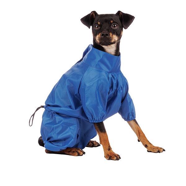 Дождевик для собак, XL, васильковый (мальчик)