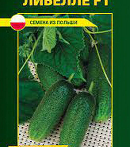 Огурец Либелла F1, 1г Польша