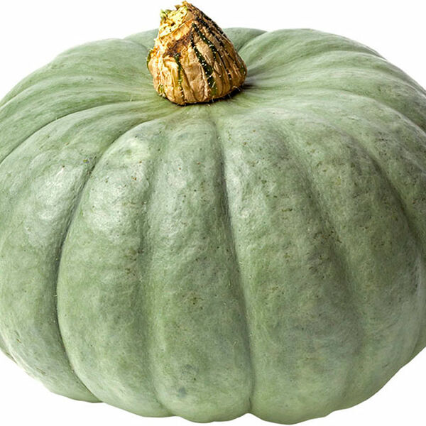 Тыква мраморная