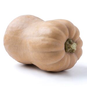 Тыква Баттернат вес