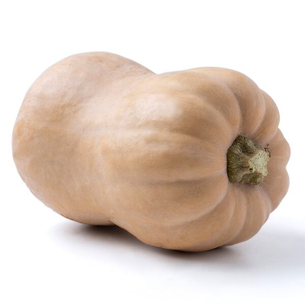 Тыква Баттернат вес