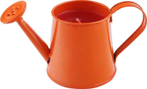 

Свеча антимоскитная в ведре/в лейке GIARDINO CLUB 12х5,8х6см/5,6х6,5х6,4см, в ассортименте 1 шт.