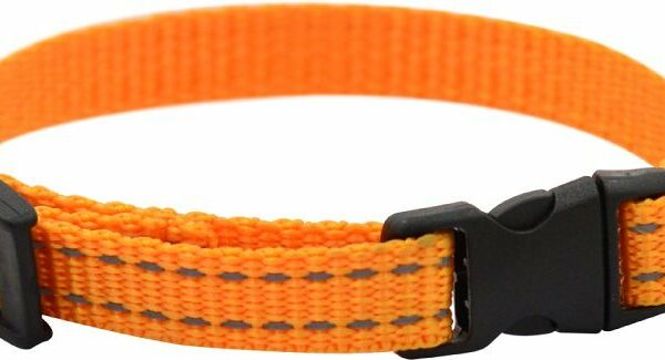 Ошейник Zooexpress FRESH LINE светоотраж.нить, капрон апельсин для собак 15 мм 25-40 см
