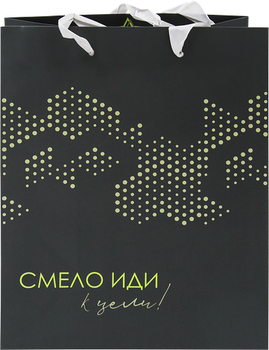 Пакет подарочный Neon, 22,7х18х10см, Арт. M