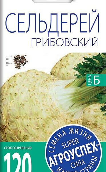 Семена Агроуспех Сельдерей корневой Грибовский 0.5г