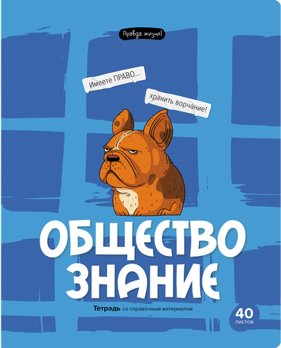 

Тетрадь BG Правда жизни Обществознание, 40 листов, Арт. ТП5ск40 12203