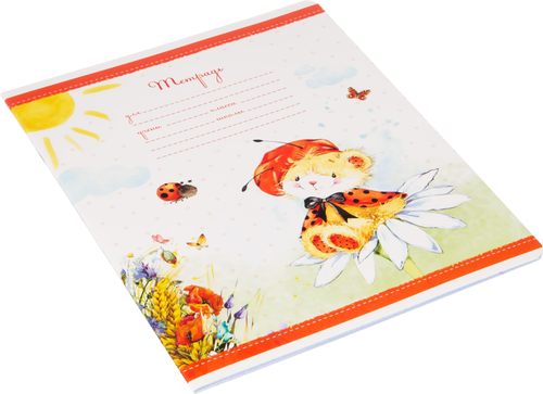 

Тетрадь ArtSpace 18 л, клетка Микс для девочек 1 шт в ассортименте